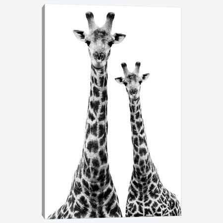 Two Giraffes White Edition II Canvas Print #PHD260} by Philippe Hugonnard Canvas Wall Art
