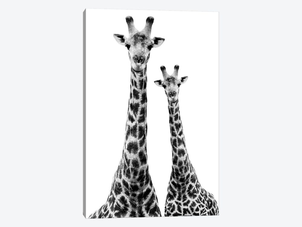 Two Giraffes White Edition II by Philippe Hugonnard 1-piece Canvas Art Print