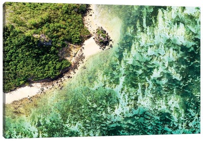 Aerial Summer - Aquamarine Coral Beach Canvas Art Print - Aerial Beaches 