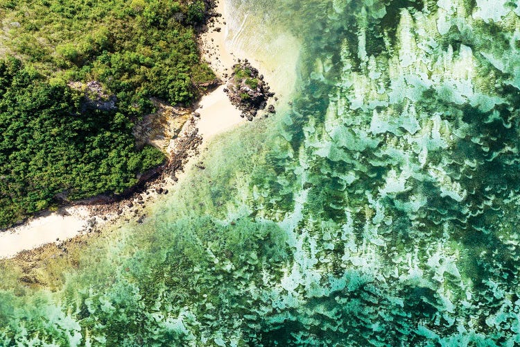 Aerial Summer - Aquamarine Coral Beach