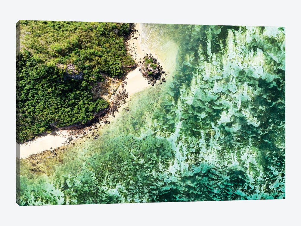 Aerial Summer - Aquamarine Coral Beach by Philippe Hugonnard 1-piece Canvas Art