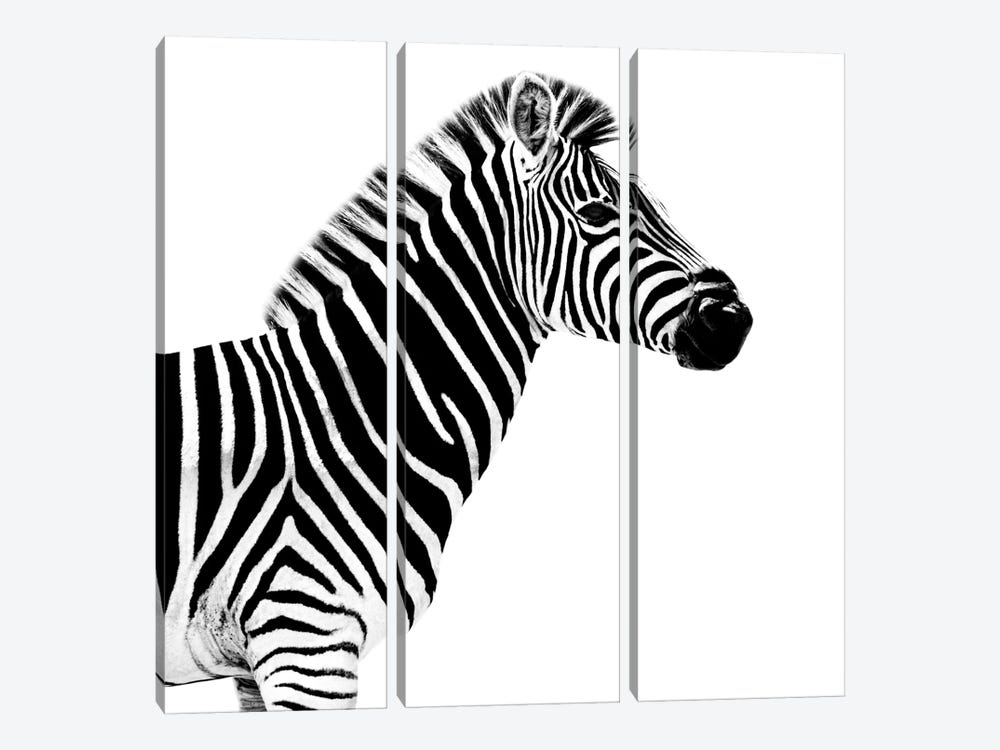 Zebra White Edition II by Philippe Hugonnard 3-piece Canvas Wall Art