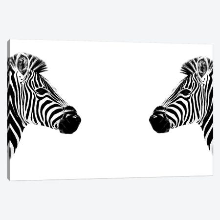 Zebras Face to Face White Edition Canvas Print #PHD262} by Philippe Hugonnard Canvas Wall Art