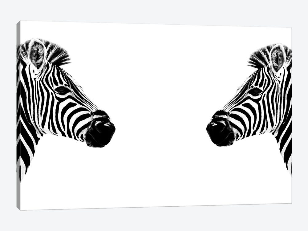 Zebras Face to Face White Edition 1-piece Canvas Art Print