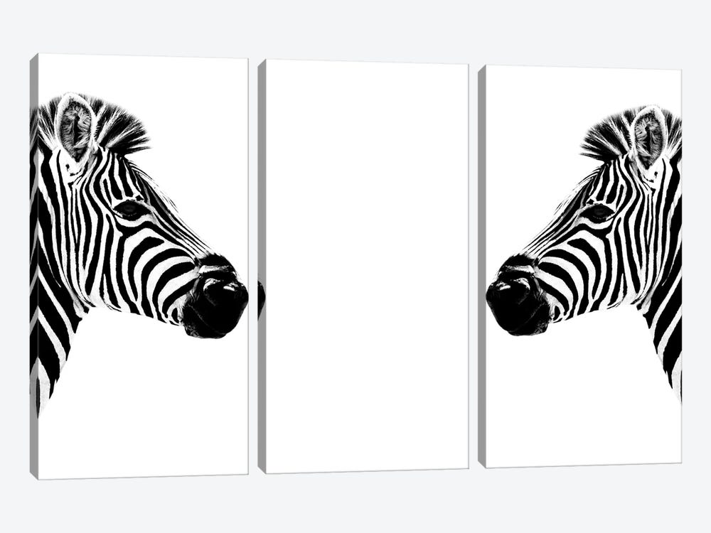 Zebras Face to Face White Edition by Philippe Hugonnard 3-piece Canvas Art Print