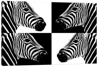 Zebras III Canvas Art Print - Black & White Patterns