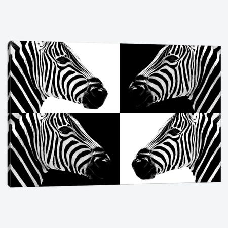 Zebras III Canvas Print #PHD263} by Philippe Hugonnard Canvas Wall Art