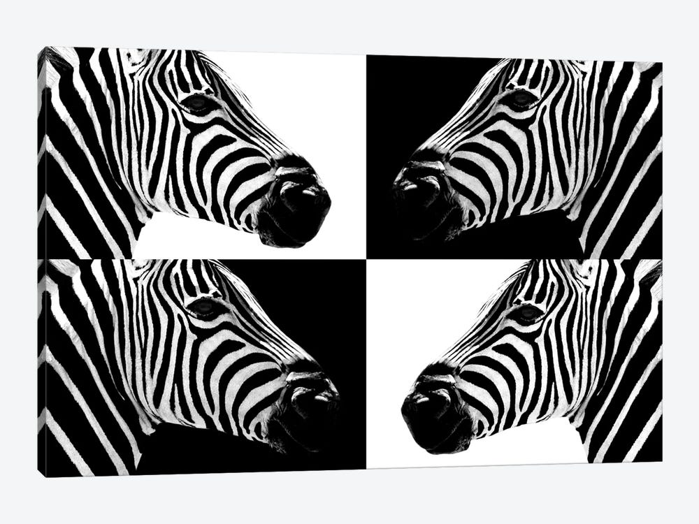 Zebras III by Philippe Hugonnard 1-piece Canvas Artwork