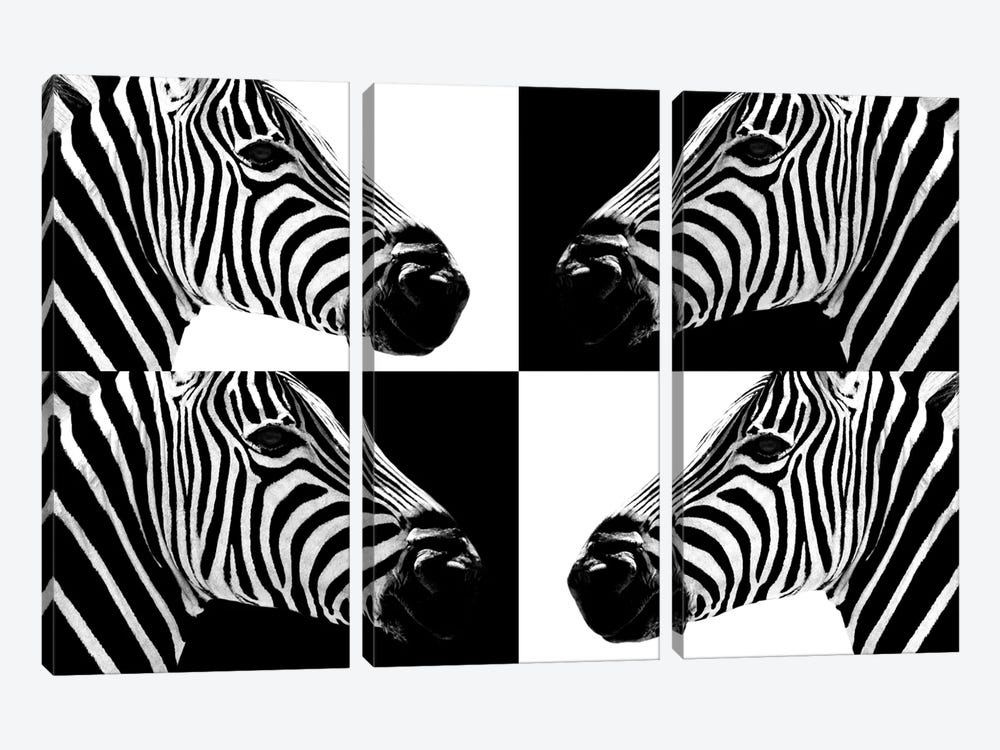 Zebras III by Philippe Hugonnard 3-piece Canvas Art