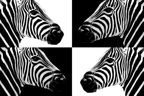 Black & White Patterns: Zebras III by Philippe Hugonnard