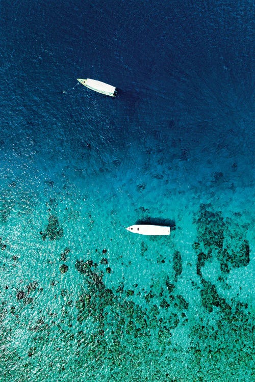 Aerial Summer - In Mid-Water by Philippe Hugonnard wall art