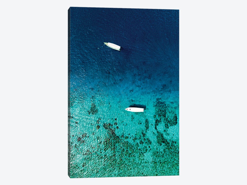 Aerial Summer - In Mid-Water by Philippe Hugonnard 1-piece Canvas Art