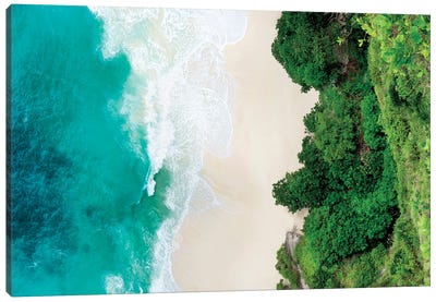 Aerial Summer - Tropical Cliff Canvas Art Print - Aerial Beaches 