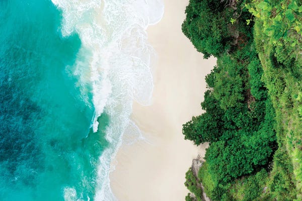 Aerial Beaches: Aerial Summer - Tropical Cliff by Philippe Hugonnard