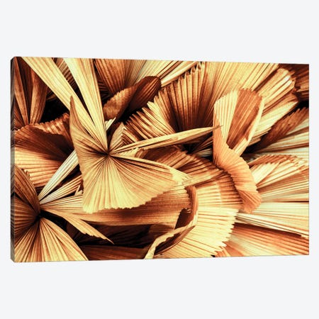 Copper Palm Leaves Canvas Print #PHD2671} by Philippe Hugonnard Canvas Artwork