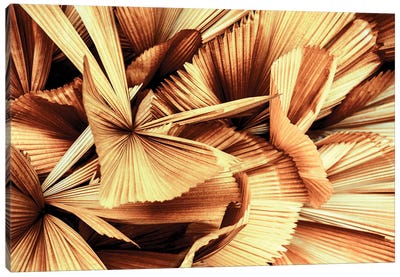 Copper Palm Leaves Canvas Art Print - Monochromatic Photography