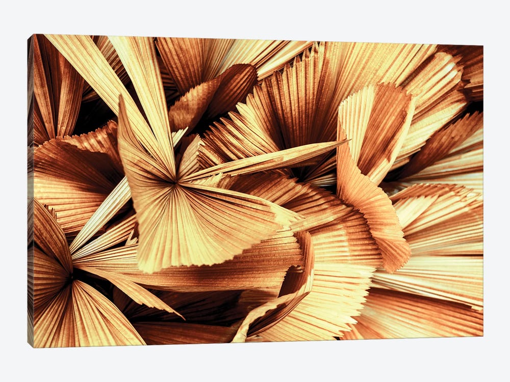 Copper Palm Leaves by Philippe Hugonnard 1-piece Canvas Art
