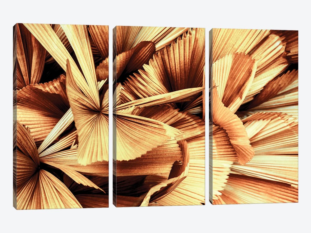 Copper Palm Leaves by Philippe Hugonnard 3-piece Canvas Wall Art