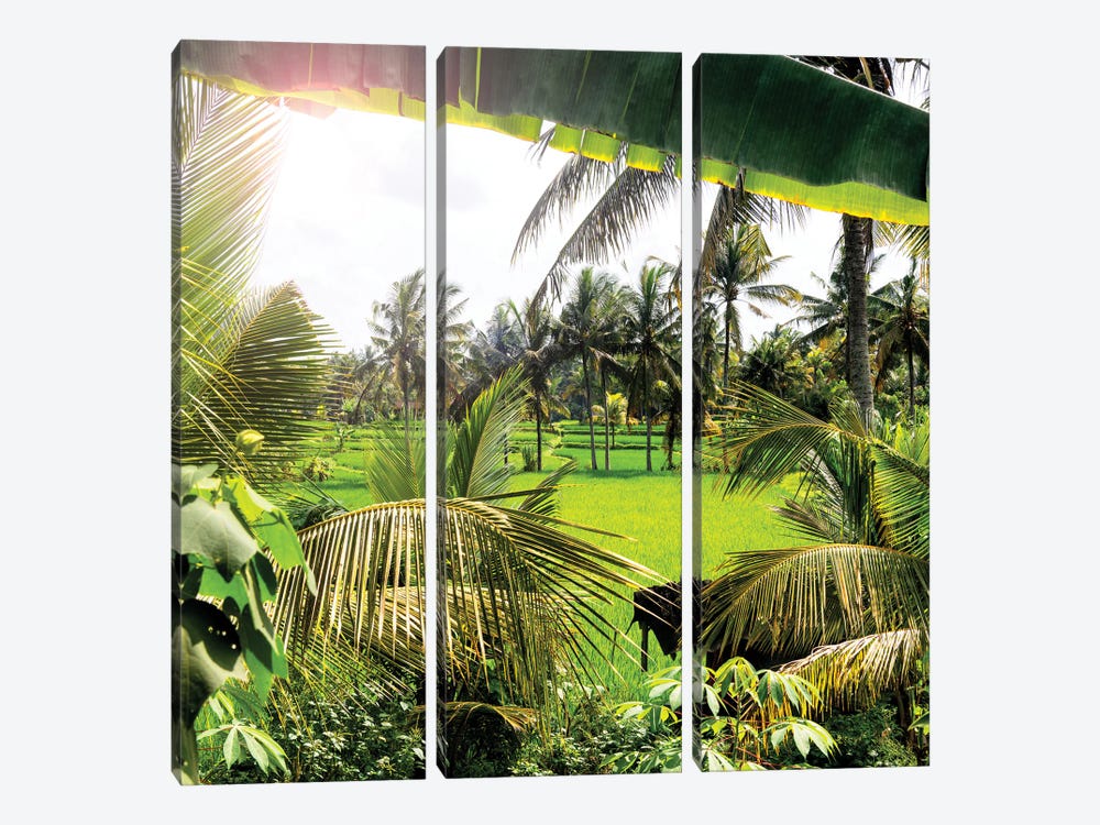 Between Palm Leaves by Philippe Hugonnard 3-piece Canvas Art