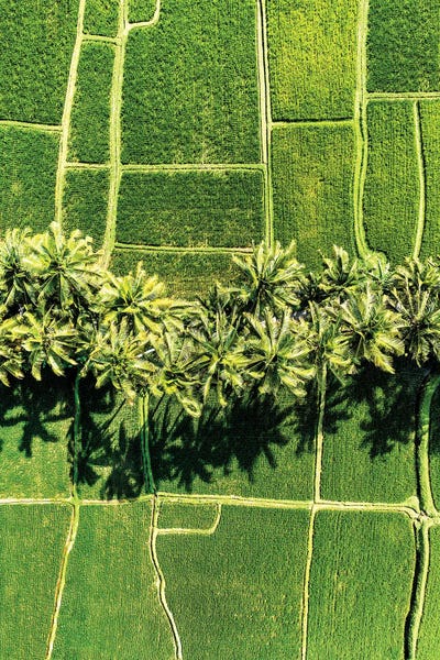 Between Two - Dreamy Bali by Philippe Hugonnard art print