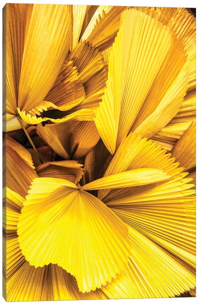 Yellow Palm Leaves Canvas Art Print - Monochromatic Photography