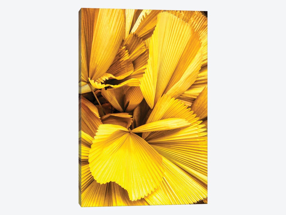 Yellow Palm Leaves by Philippe Hugonnard 1-piece Canvas Art