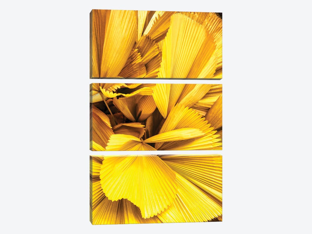Yellow Palm Leaves by Philippe Hugonnard 3-piece Canvas Art