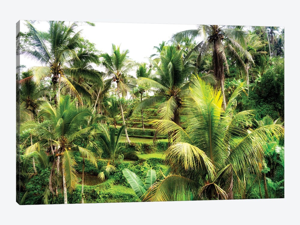 Rice Terraces Between Palm Trees by Philippe Hugonnard 1-piece Canvas Art