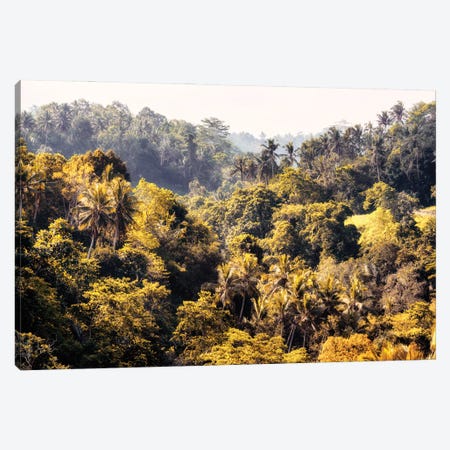The Jungle Canvas Print #PHD2696} by Philippe Hugonnard Art Print