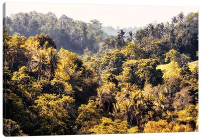 The Jungle Canvas Art Print - Monochromatic Photography