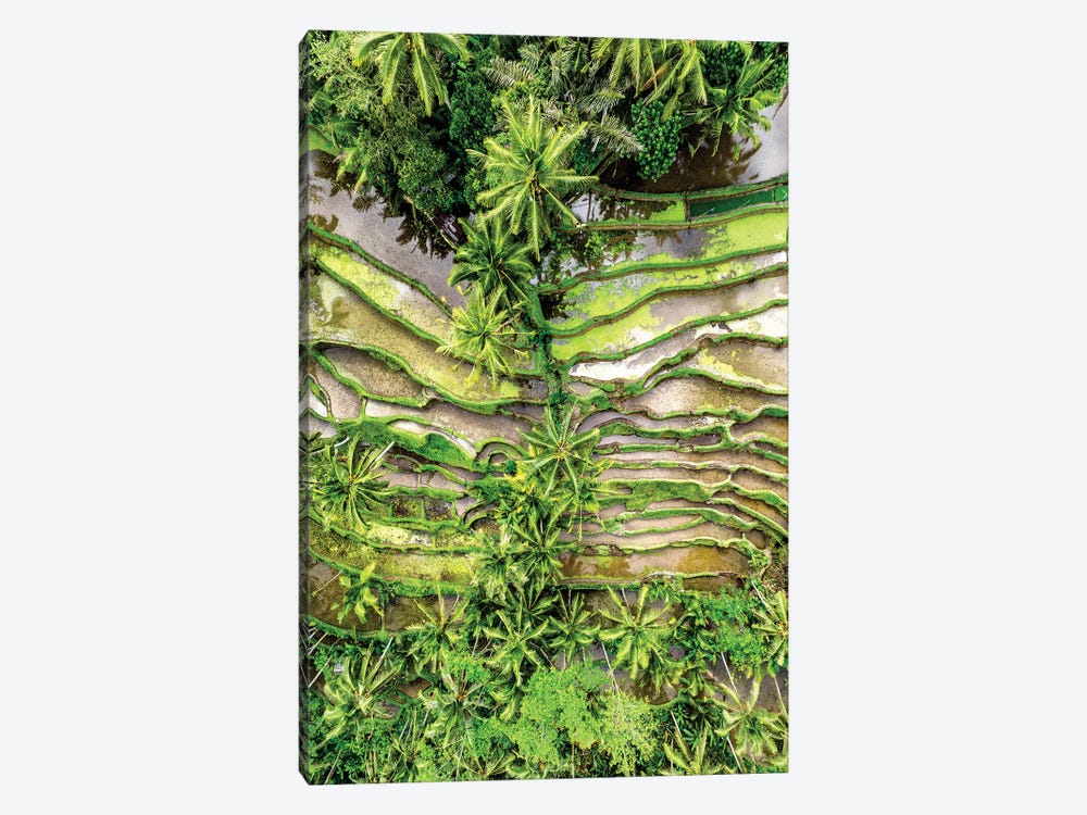 Ubud Rices Terraces by Philippe Hugonnard 1-piece Canvas Art