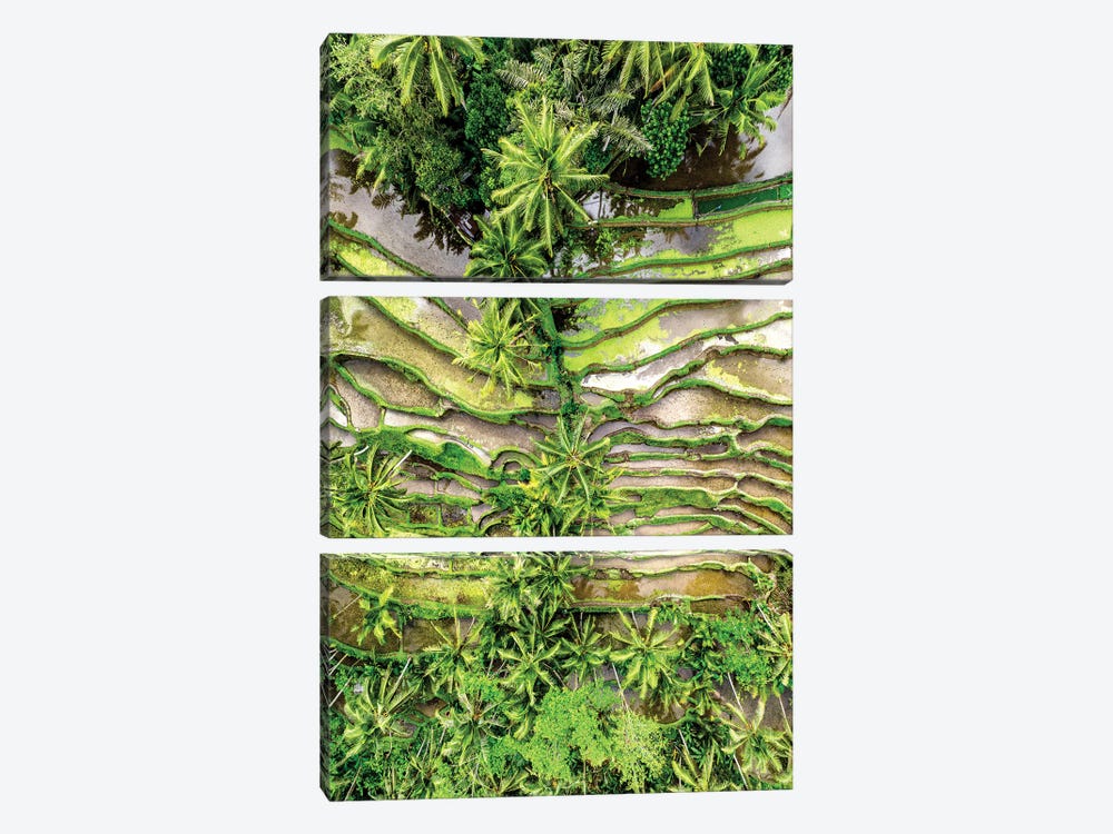 Ubud Rices Terraces by Philippe Hugonnard 3-piece Canvas Wall Art