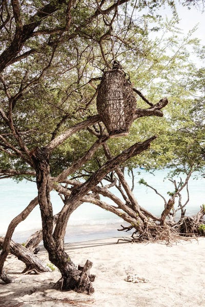 Wild Beach by Philippe Hugonnard canvas print