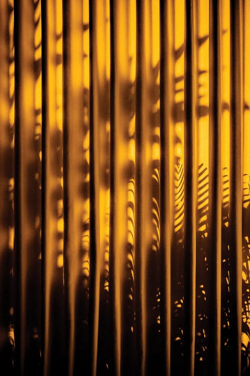 Yellow Curtain Shadow