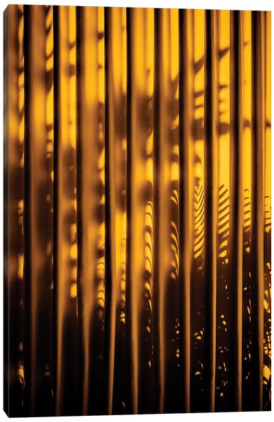 Yellow Curtain Shadow Canvas Art Print - Monochromatic Photography