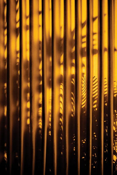 Monochromatic Photography: Yellow Curtain Shadow by Philippe Hugonnard