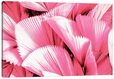 Pink Palm Leaves Canvas Art Print - Black & Pink