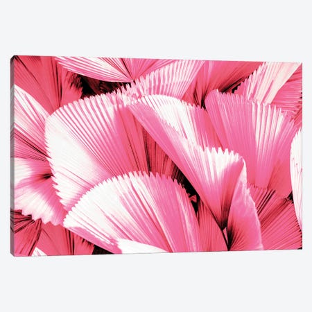 Pink Palm Leaves Canvas Print #PHD2724} by Philippe Hugonnard Art Print