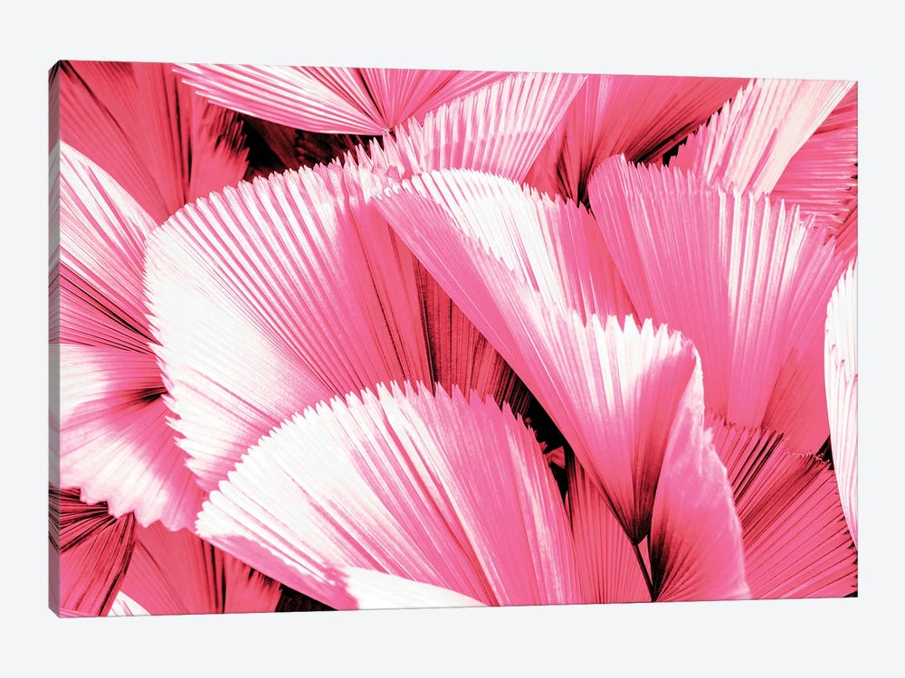 Pink Palm Leaves by Philippe Hugonnard 1-piece Art Print