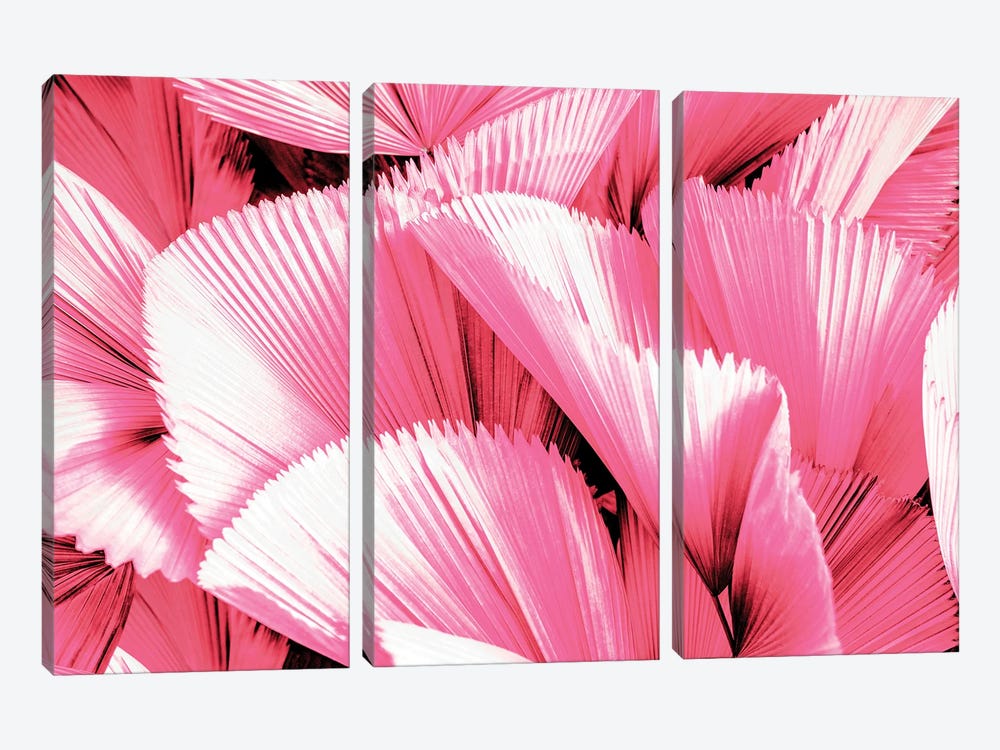Pink Palm Leaves by Philippe Hugonnard 3-piece Canvas Print