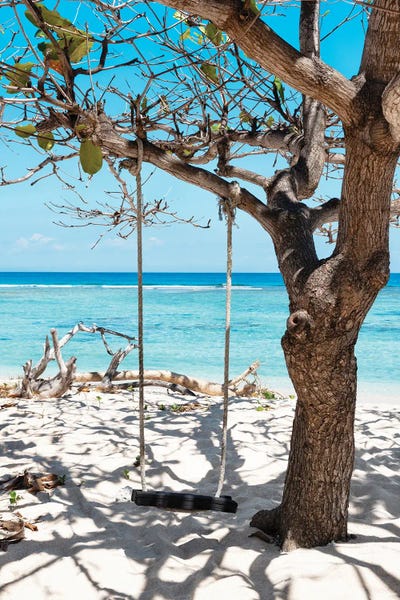 Wild Swing by Philippe Hugonnard canvas print