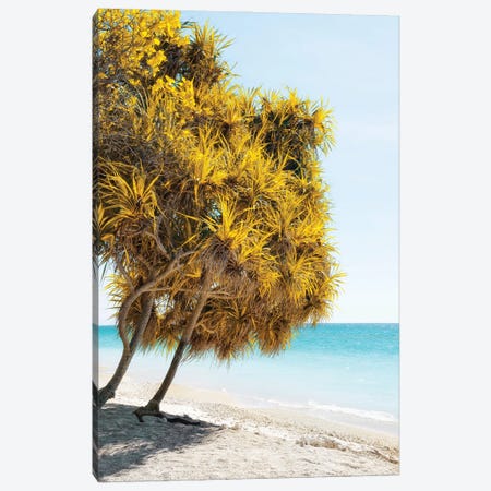 Yellow Trees Canvas Print #PHD2746} by Philippe Hugonnard Canvas Art Print