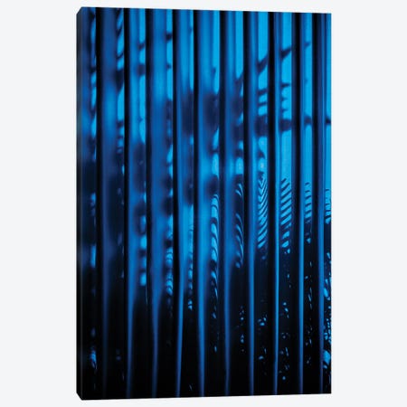 Blue Curtain Shadow Canvas Print #PHD2747} by Philippe Hugonnard Canvas Art Print