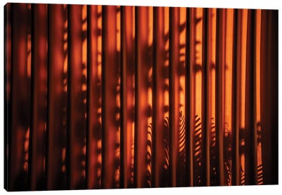 Red Curtain Shadow II Canvas Art Print - Monochromatic Photography
