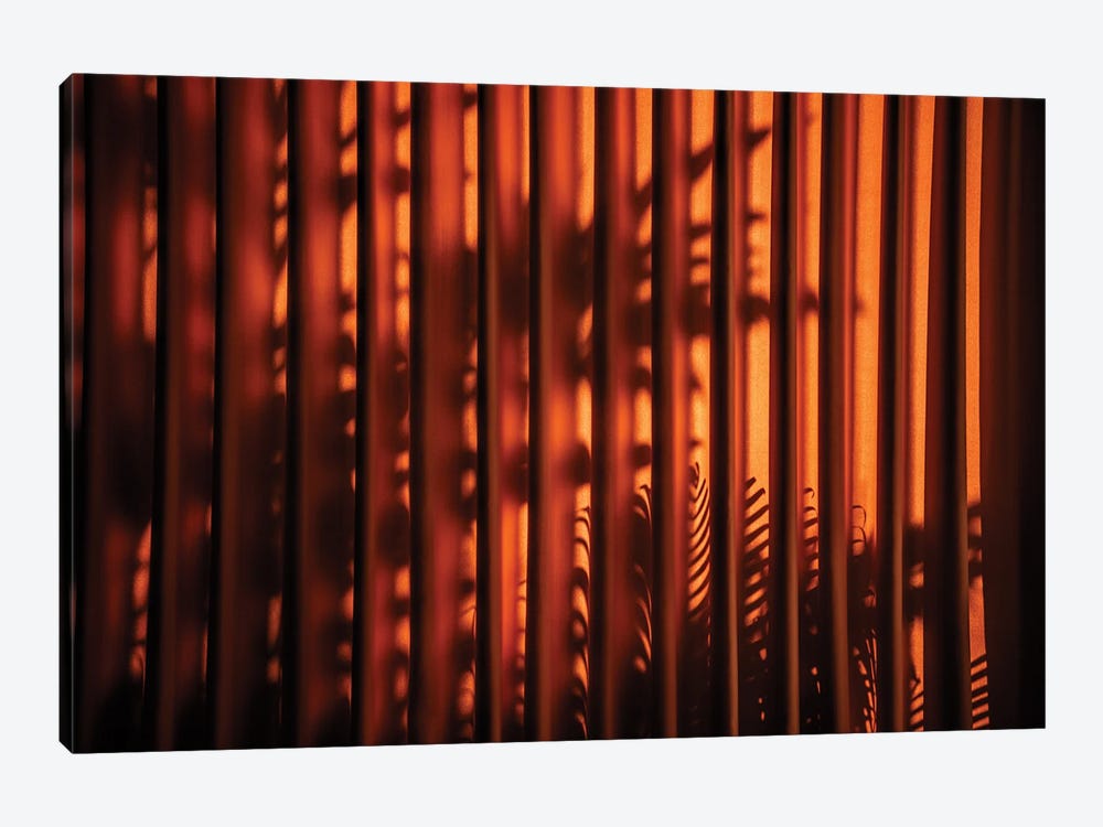 Red Curtain Shadow II by Philippe Hugonnard 1-piece Canvas Artwork