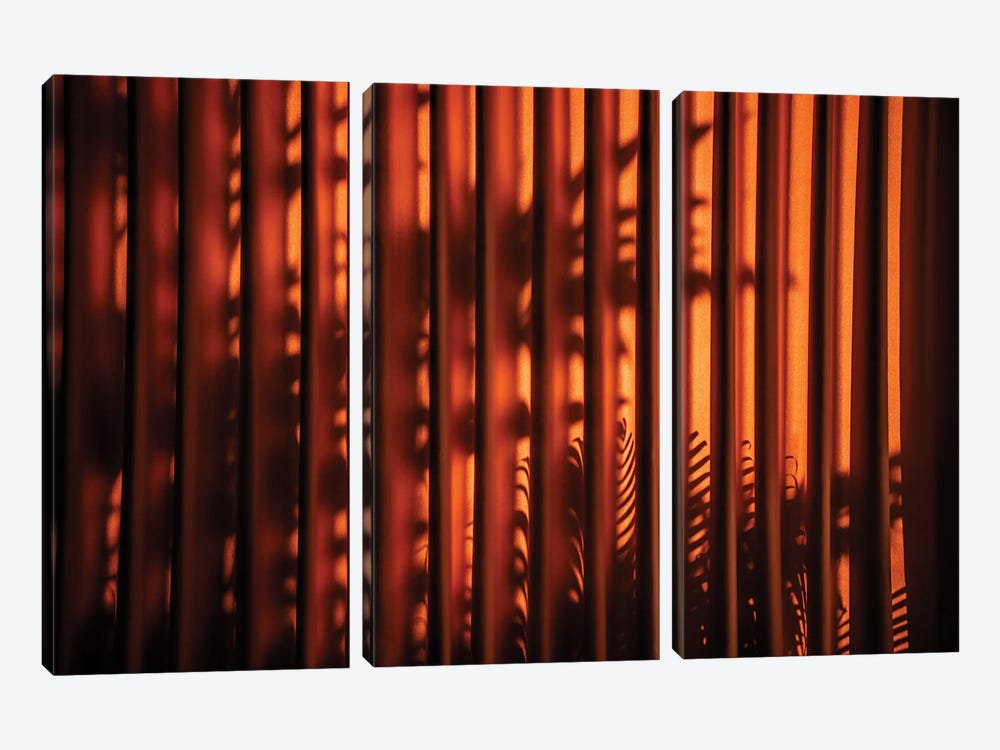 Red Curtain Shadow II by Philippe Hugonnard 3-piece Canvas Wall Art