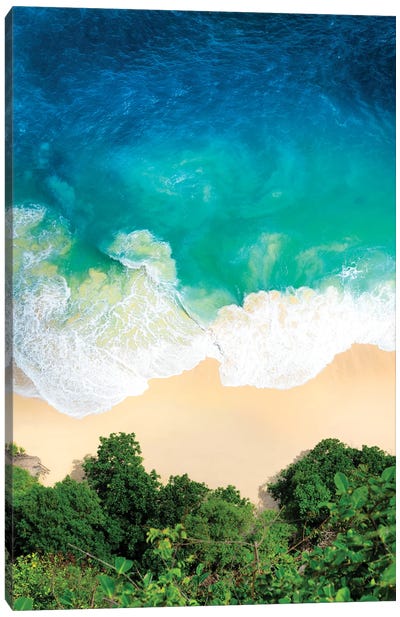Beautiful Wild Beach Canvas Art Print - Aerial Beaches 