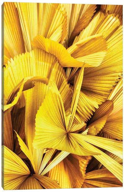Yellow Palm Leaves II Canvas Art Print - Monochromatic Photography