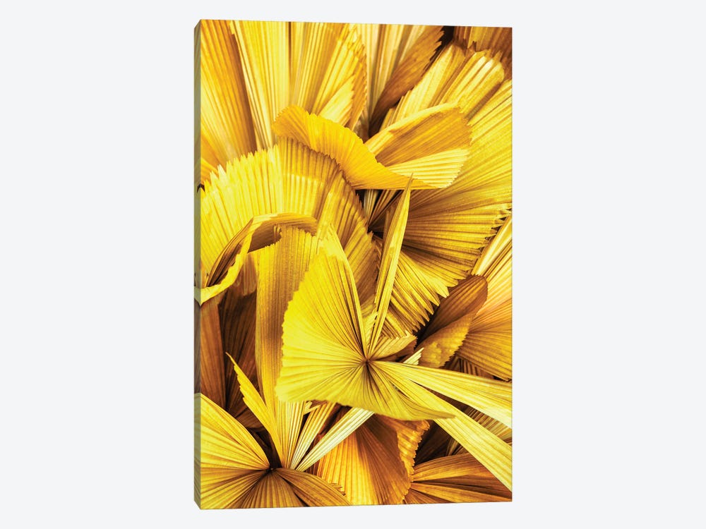 Yellow Palm Leaves II by Philippe Hugonnard 1-piece Canvas Wall Art