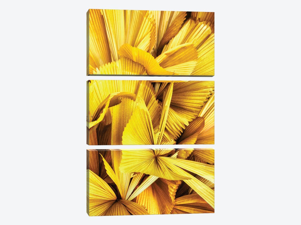 Yellow Palm Leaves II by Philippe Hugonnard 3-piece Canvas Art